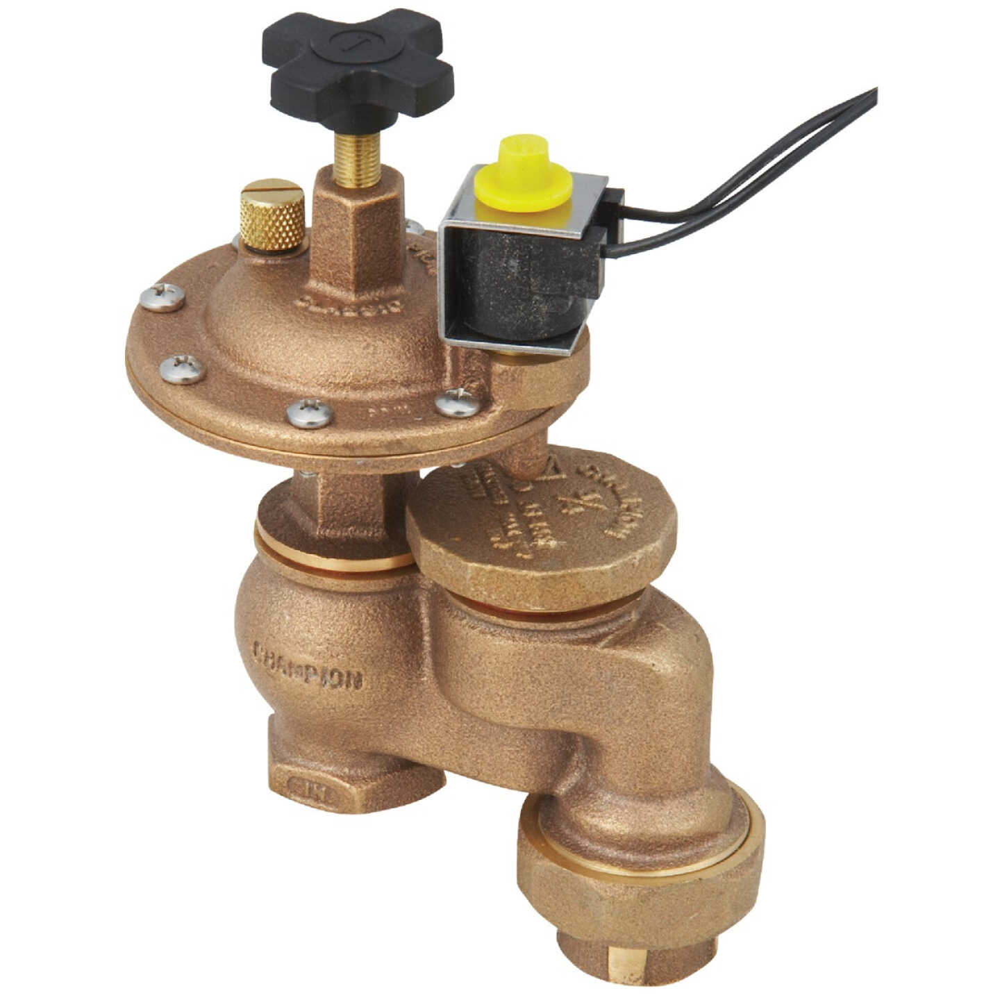 Champion 3/4 In. 25 to 150 psi Automatic Anti-Siphon Valve - G.W. Hardware